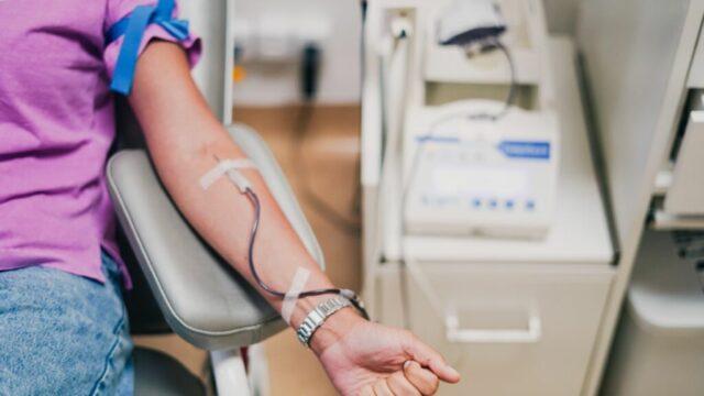 Veículo adaptado para coleta de sangue