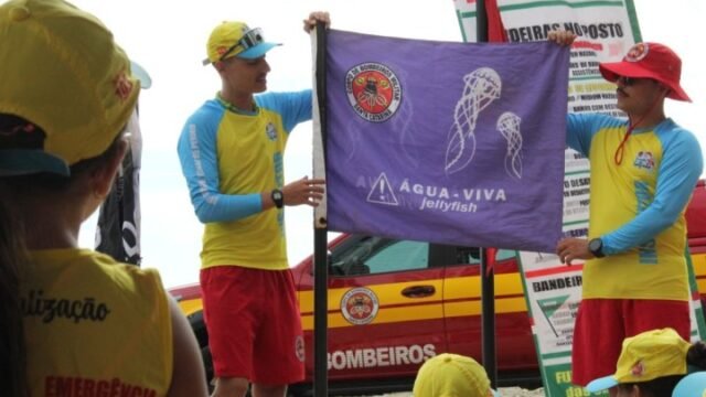 Crianças certificadas no Programa Golfinho em Balneário Camboriú