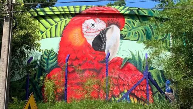 Grafite da natureza no reservatório da CASAN