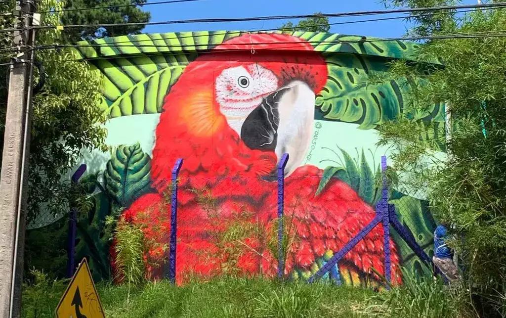 Grafite da natureza no reservatório da CASAN