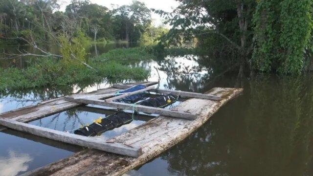 Negócios inovadores na bioeconomia dos biomas Cerrado e Pantanal