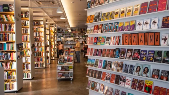 Pequenas editoras se adaptando ao mercado editorial em 2025