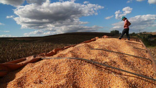 Desempenho do agronegócio catarinense em análise