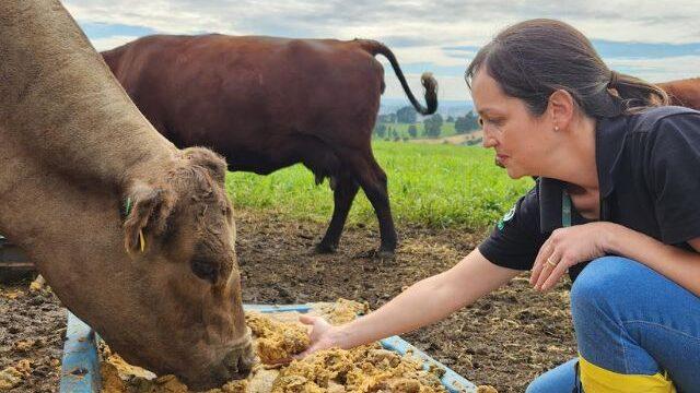 Bagaço de Maçã na Alimentação Animal