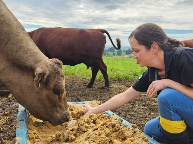 Bagaço de Maçã na Alimentação Animal