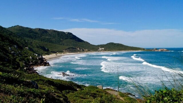 Vereadores apoiando regulamentação do naturismo na Praia da Galheta