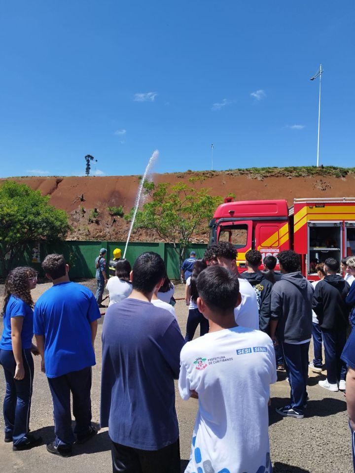 Imagem do Grid