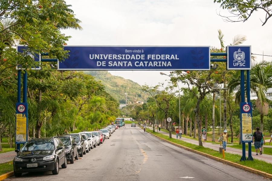 Imagem do Grid