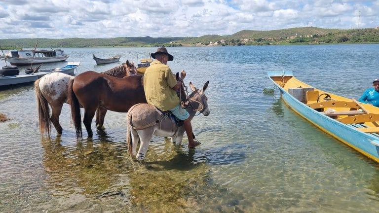 Arte em madeira da comunidade da Ilha do Ferro