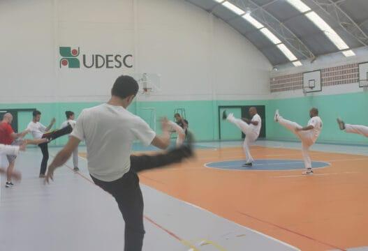 Capoeira em grupo