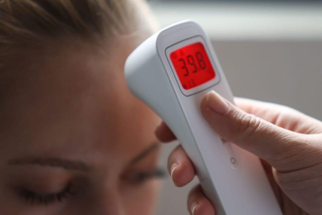 Ilustração de mosquitos Aedes aegypti