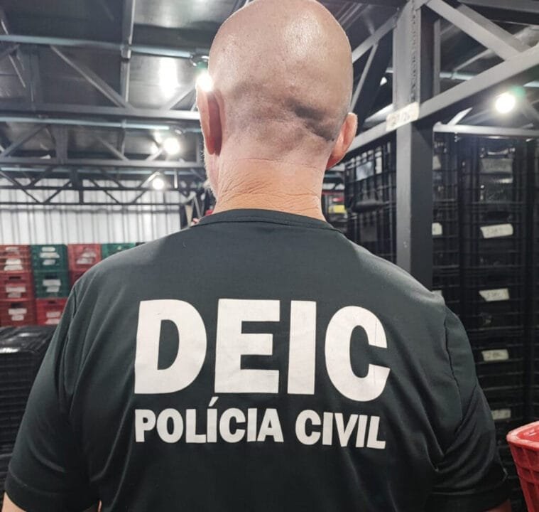 Polícia Civil prende empresária do setor automotivo em operação