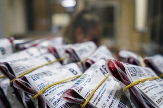 Pessoas doando sangue no HEMOSC