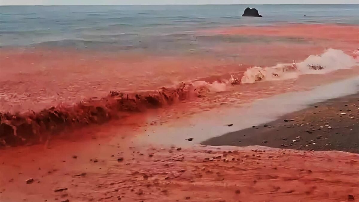 Ilha Arco-íris - Fenômeno 'Chuva de Sangue'