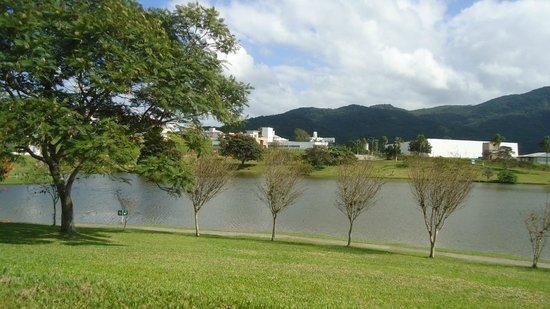 Capivaras no Parque Lago da Pedra Branca em Palhoça