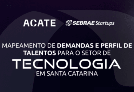 Mapeamento de Demanda e Perfil de Talentos - Setor de Tecnologia de SC