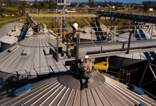 Monitoramento de grãos pela Procer em Criciúma