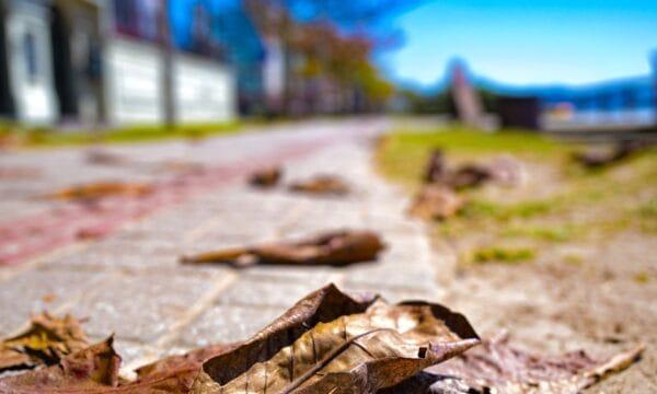Temperaturas acima da média no Outono de Santa Catarina