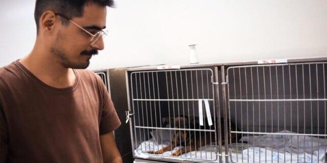 Imagem representativa das propostas do vereador Leonel Camasão para melhorias na Dibea de Florianópolis