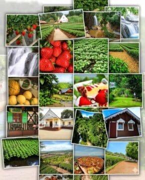 Ecoturismo em Rancho Queimado