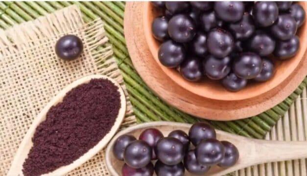 Imagem do açaí de Bailique - Indicação Geográfica