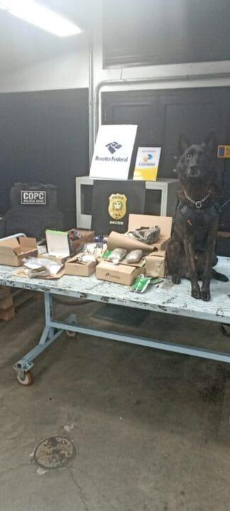 Apreensão de drogas ilícitas em caixas postais