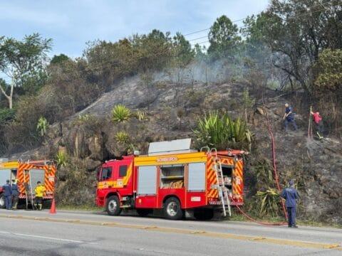 Equipe do Corpo de Bombeiros Militar de Santa Catarina combatendo incêndio em vegetação