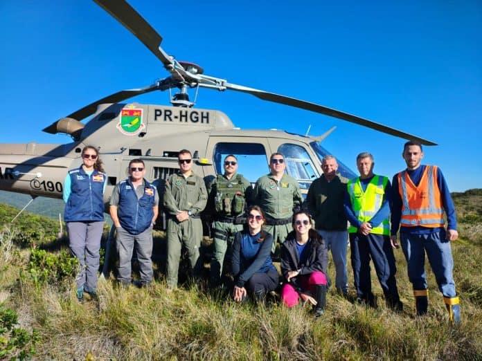 Controle do Pinus na Serra do Tabuleiro