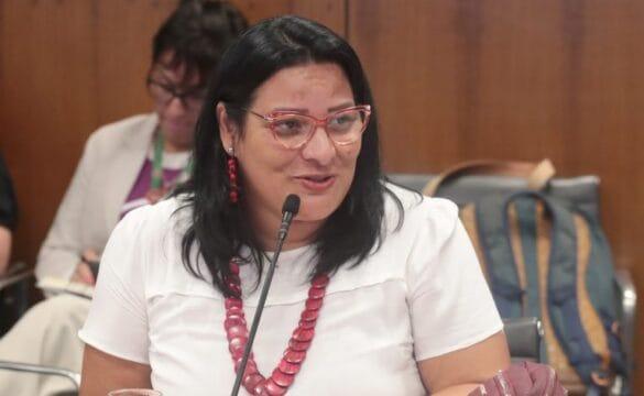 Gestante de gravidez múltipla no Sistema Único de Saúde