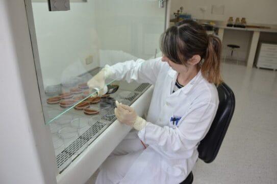 Ilustração de bolsas de estudo e igualdade