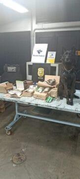 Apreensão de drogas em Florianópolis