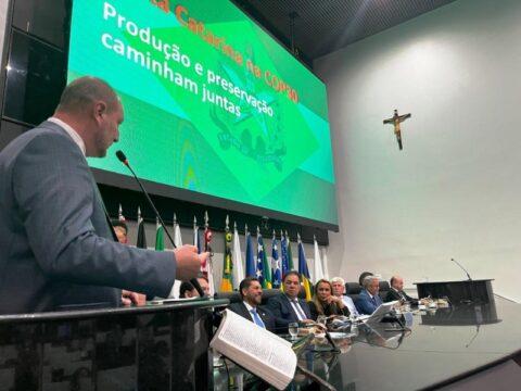 Grupo de trabalho sobre COP 30