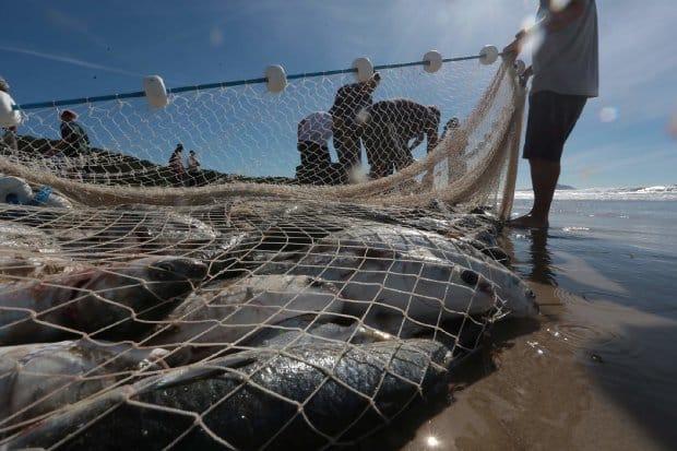 Pescador com rede de pesca