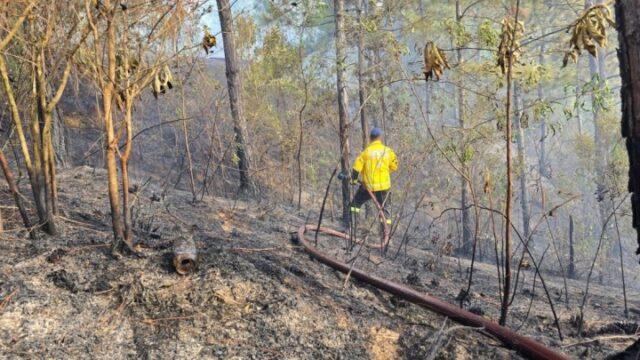 Prevenção de Incêndios em Vegetação no Outono em Santa Catarina