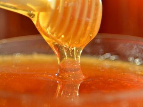 Apicultor trabalhando em colmeia