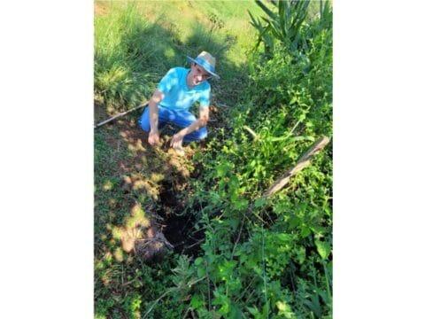 Nascentes protegidas por cercas em propriedade rural