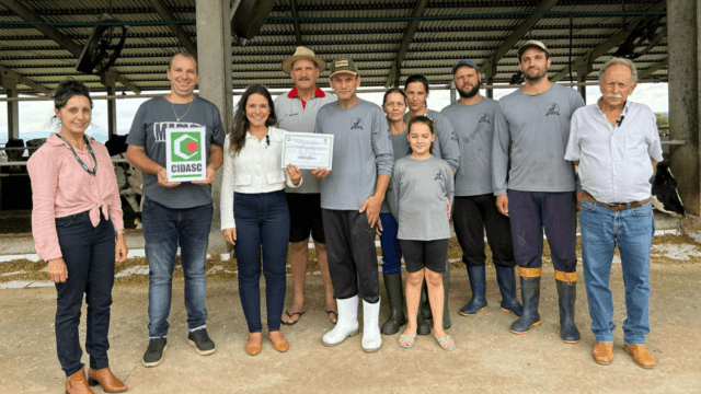 Rebanho de vacas saudáveis em propriedade de Concórdia