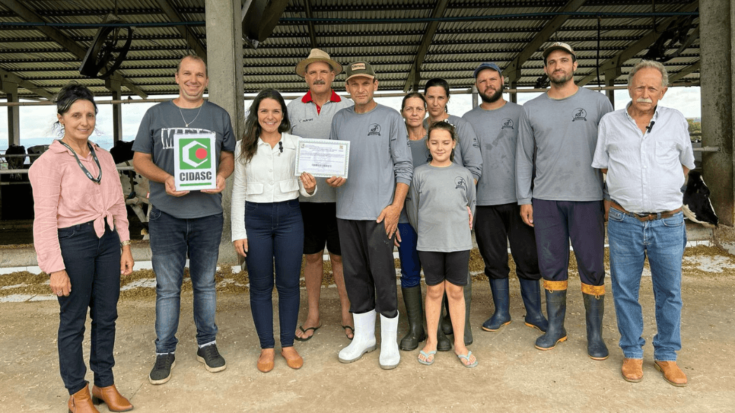 Rebanho de vacas saudáveis em propriedade de Concórdia