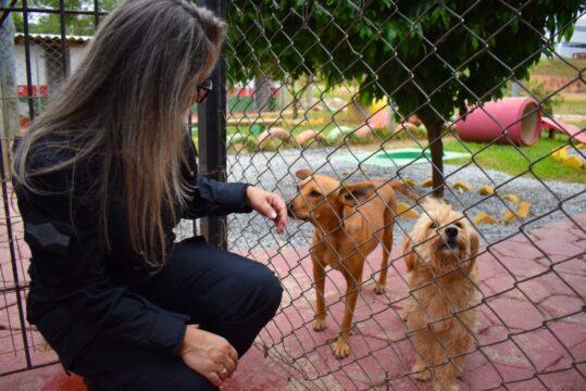 ReabilitaCão - Integração de apenados e cães