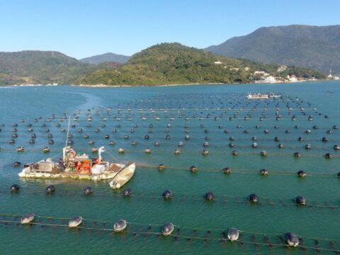 Pescadores e maricultores reunidos para discutir áreas aquícolas em Palhoça