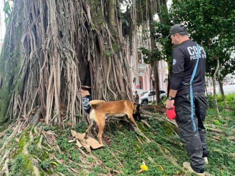 Imagem da operação Centro Seguro na Praça XV de Florianópolis