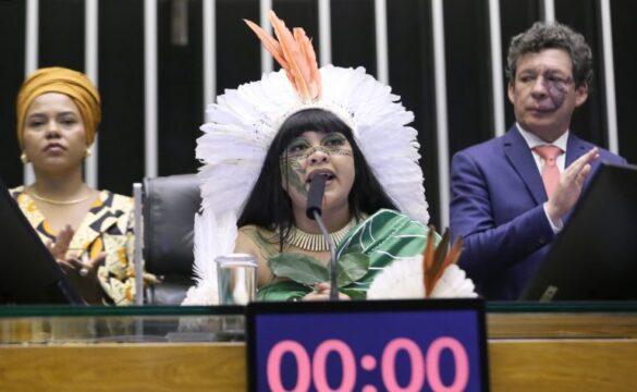Audiência na Comissão de Defesa dos Direitos da Mulher