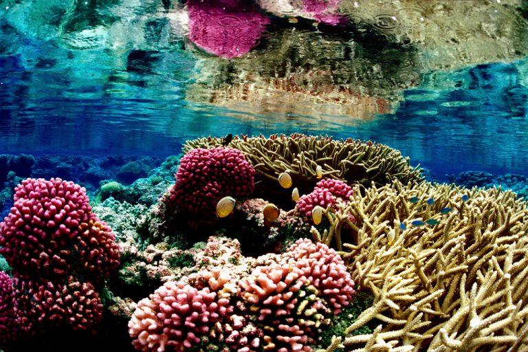 Brasil na 3ª Conferência dos Oceanos da ONU - Debate sobre governança oceânica