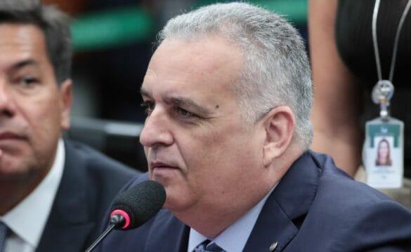 Captura de tubarões e arraias