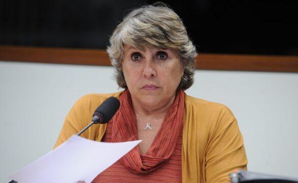 Certificação de Madeira nas Licitacões