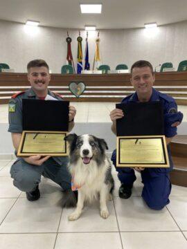 Cão Lycan interagindo com paciente