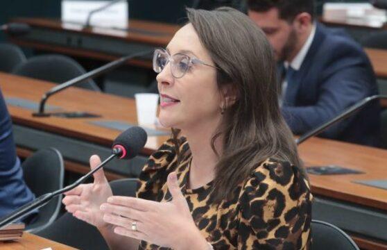 Projeto de Lei 25/25 - Custódia compartilhada de animais de estimação
