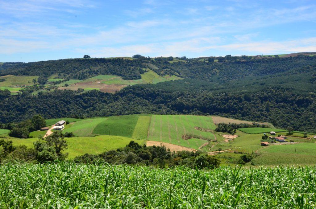 Edital Fapesc - Conectividade no meio rural de Santa Catarina