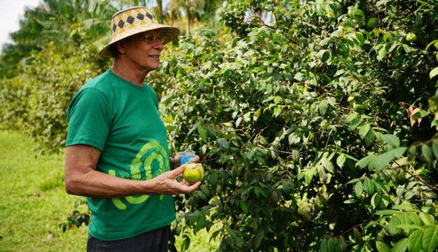 Empreendedorismo na Amazônia - Sebrae