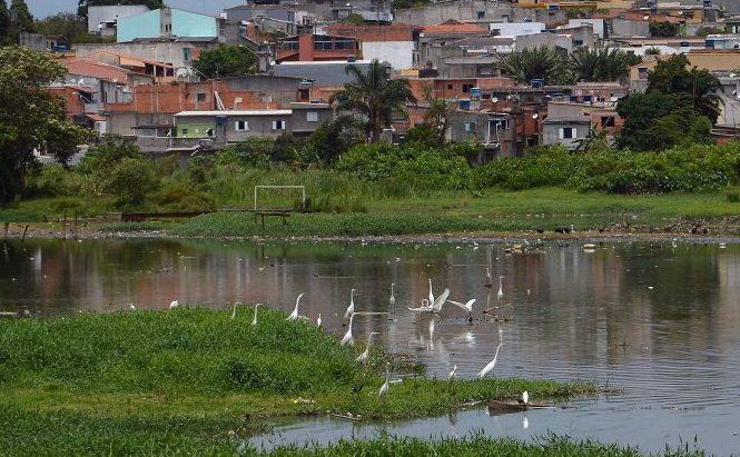 Imagem da encíclica Laudato Si com destaque para os 10 anos de publicação